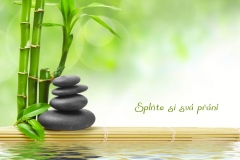 shutterstock_81348091